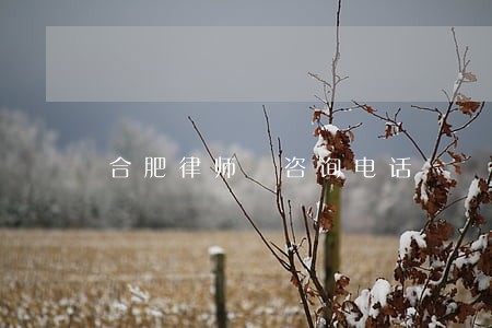 合肥律师 咨询电话 合肥律师 咨询电话